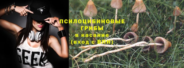 герыч Алексин