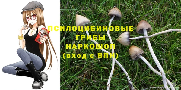 a pvp Алексеевка