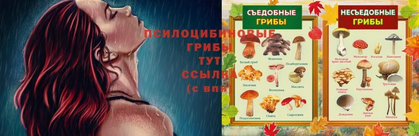 прущая мука Алзамай