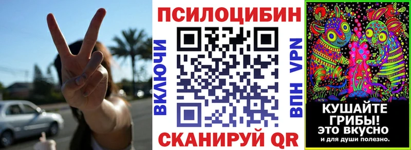 дарнет шоп  Прохладный  ОМГ ОМГ как зайти  Галлюциногенные грибы ЛСД 