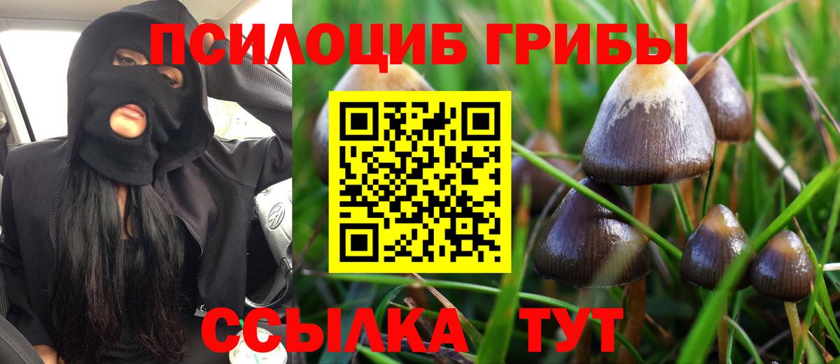 Прохладный  Псилоцибиновые грибы Psilocybine cubensis  закладка  Вход с VPN 